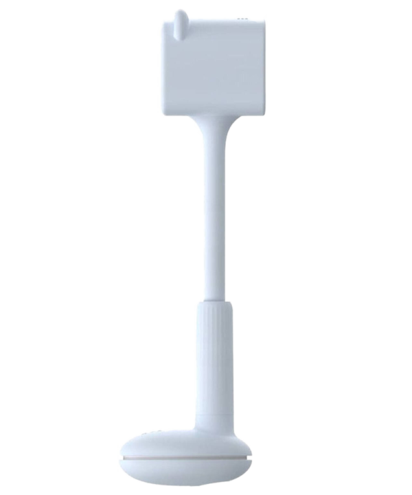 BM1
